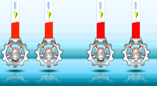 medale 501 701 lubuskie 500